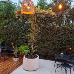 beton-saksi-zeytin-saksisi