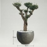 buyuk-beton-saksi-95cm-buyuk-saksi