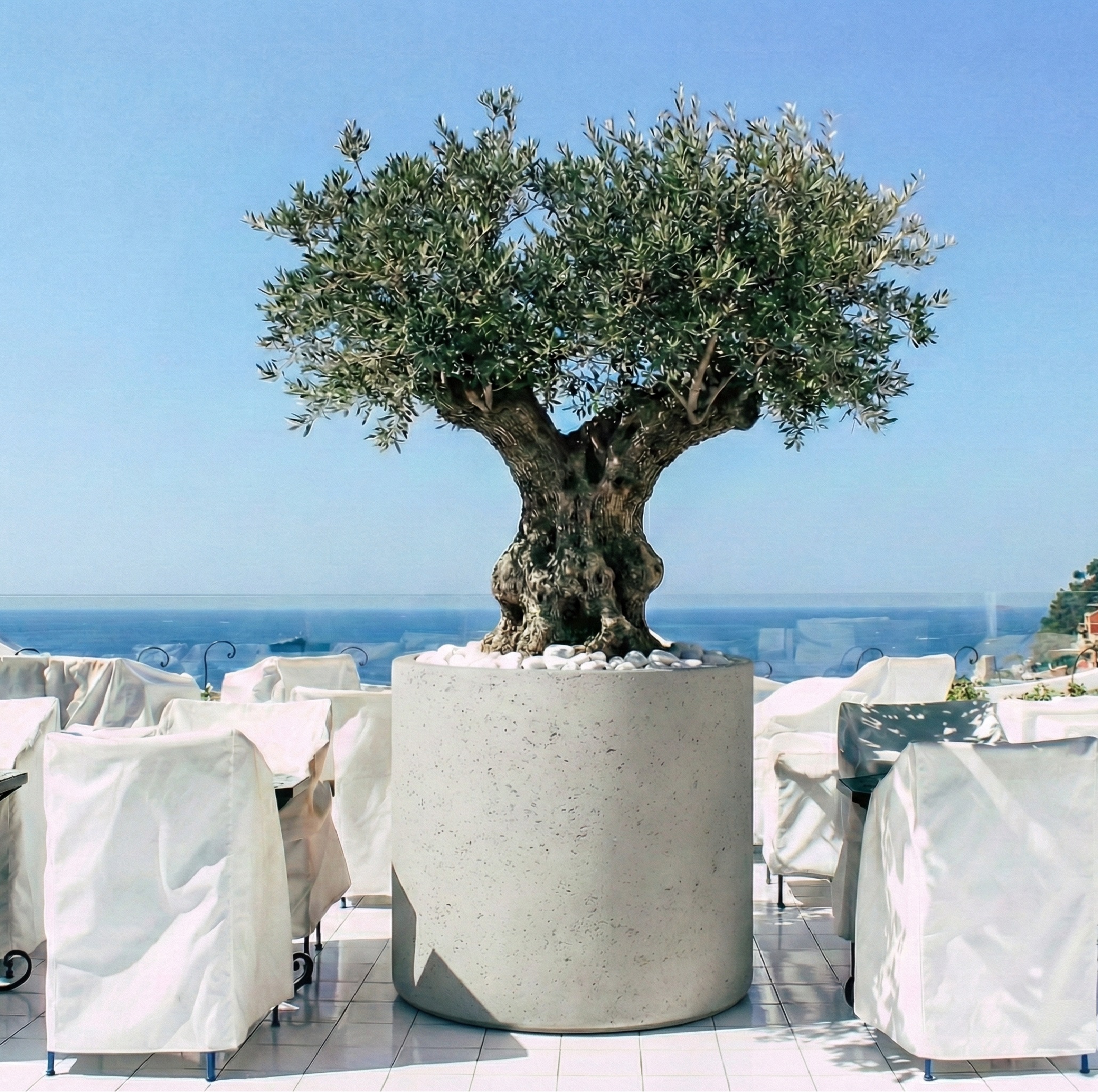 buyuk-silindir-saksi-100x100cm-1.jpg-2 buyuk-silindir-saksi-100x100cm