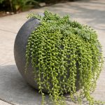 beton-saksi-gri-renk-30x30cm-2