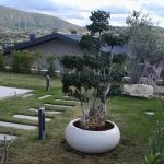 buyuk-bonsai-saksisi